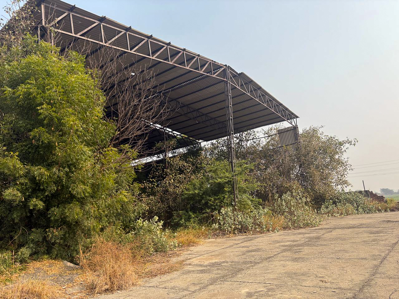 Industrial Plot with Factory Building for sale in GOLEWALA Faridkot — photo 22