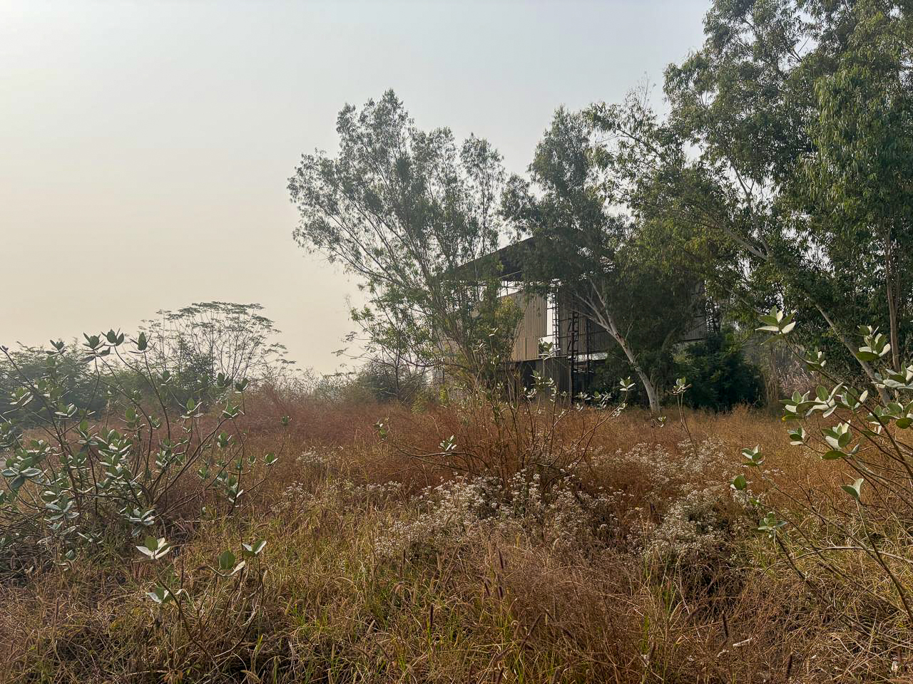Industrial Plot with Factory Building for sale in GOLEWALA Faridkot — photo 23