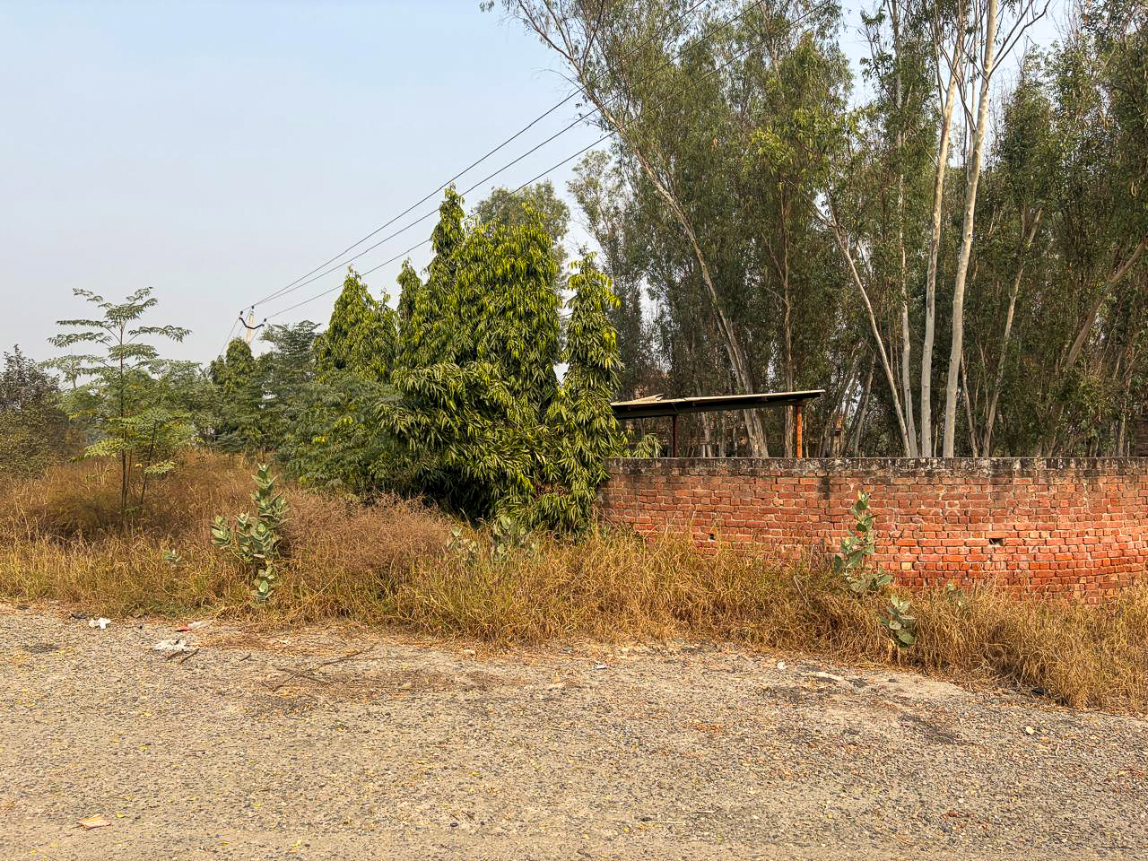 Industrial Plot with Factory Building for sale in GOLEWALA Faridkot — photo 24