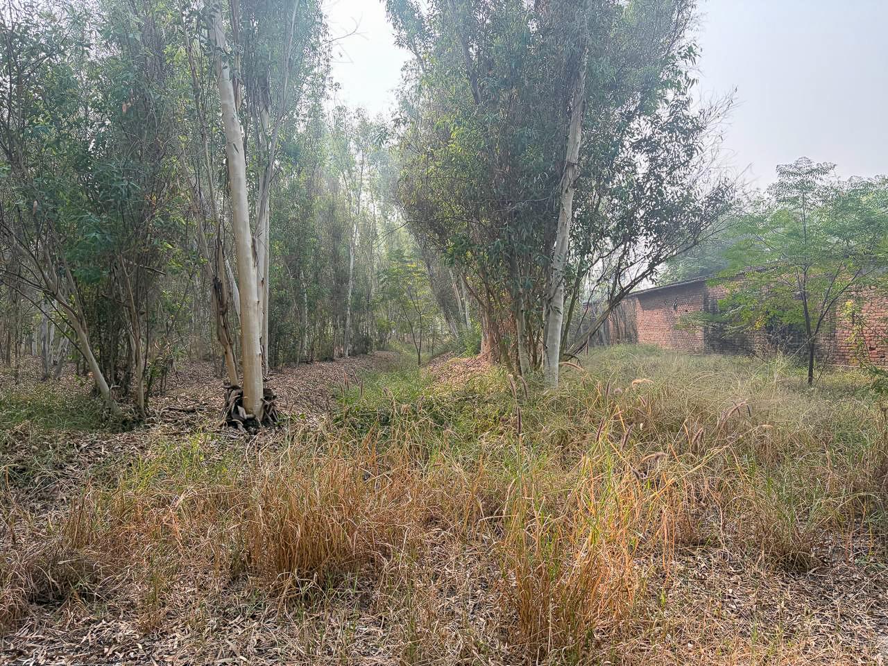 Industrial Plot with Factory Building for sale in GOLEWALA Faridkot — photo 9