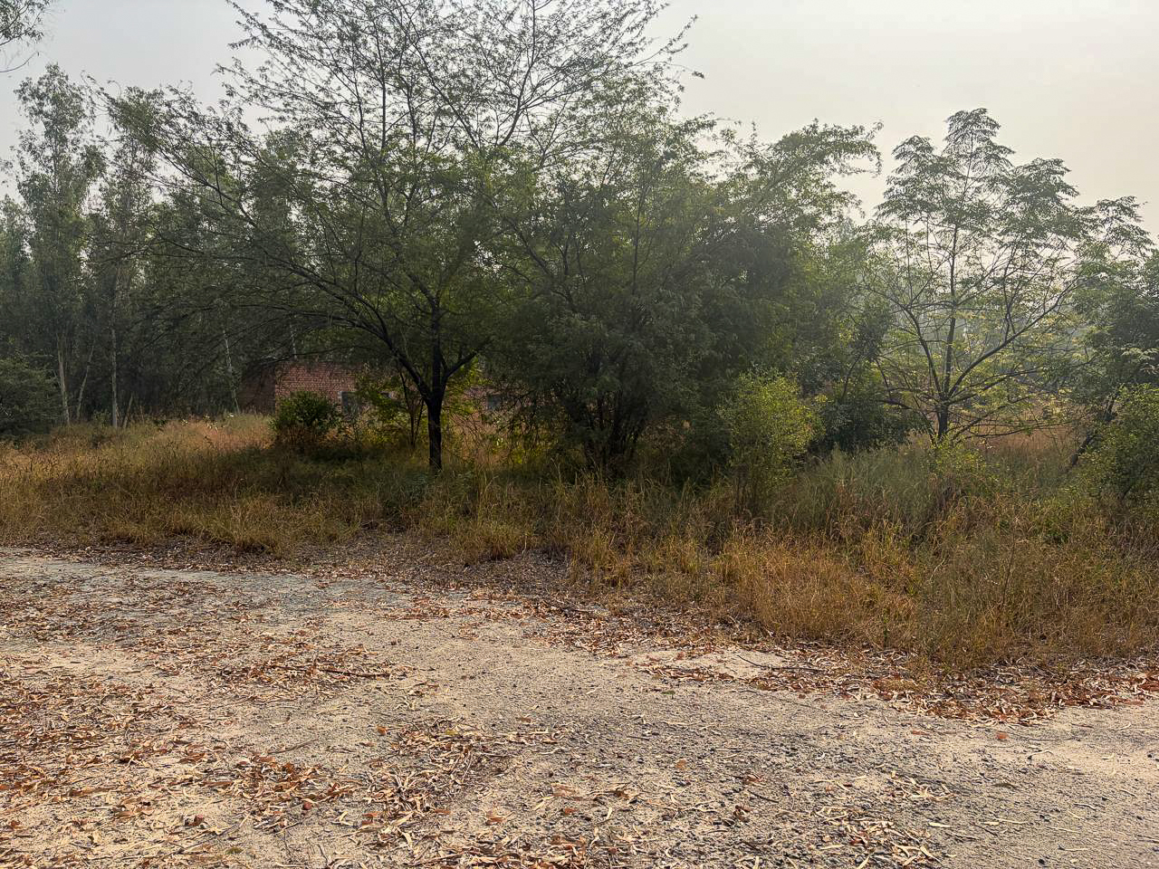 Industrial Plot with Factory Building for sale in GOLEWALA Faridkot — photo 2