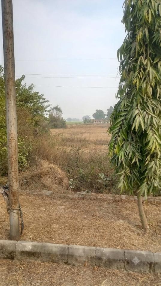 Plot for sale in Tarn Taran — photo 3