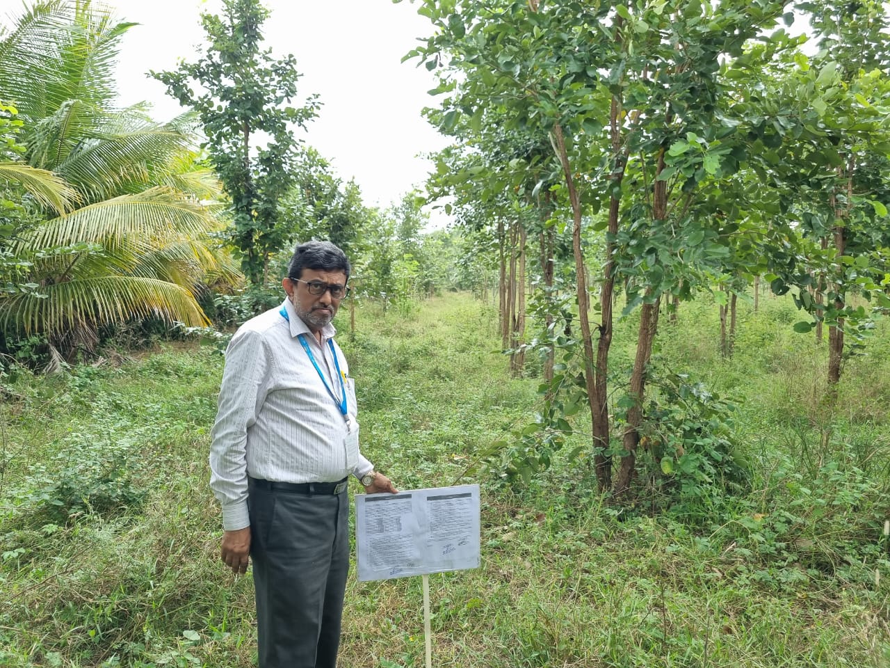 Plot for sale in Yadagirigutta — photo 1