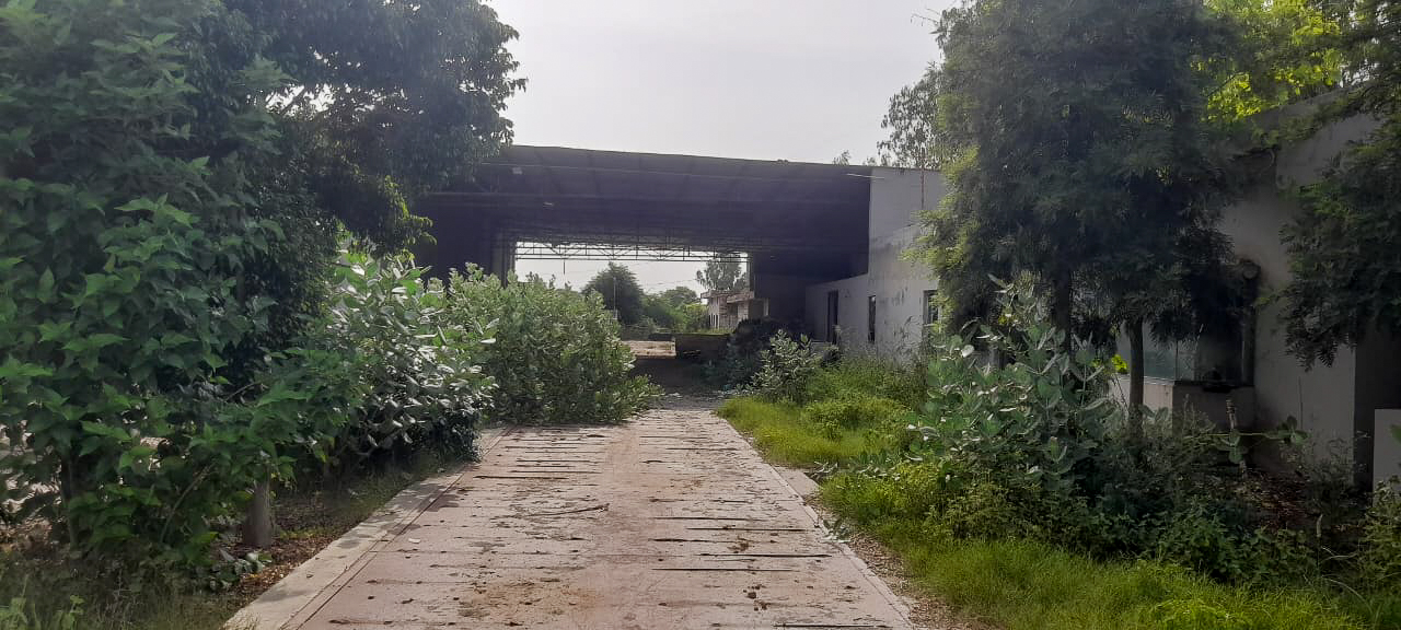 Industrial Shed for sale in Abohar — photo 12