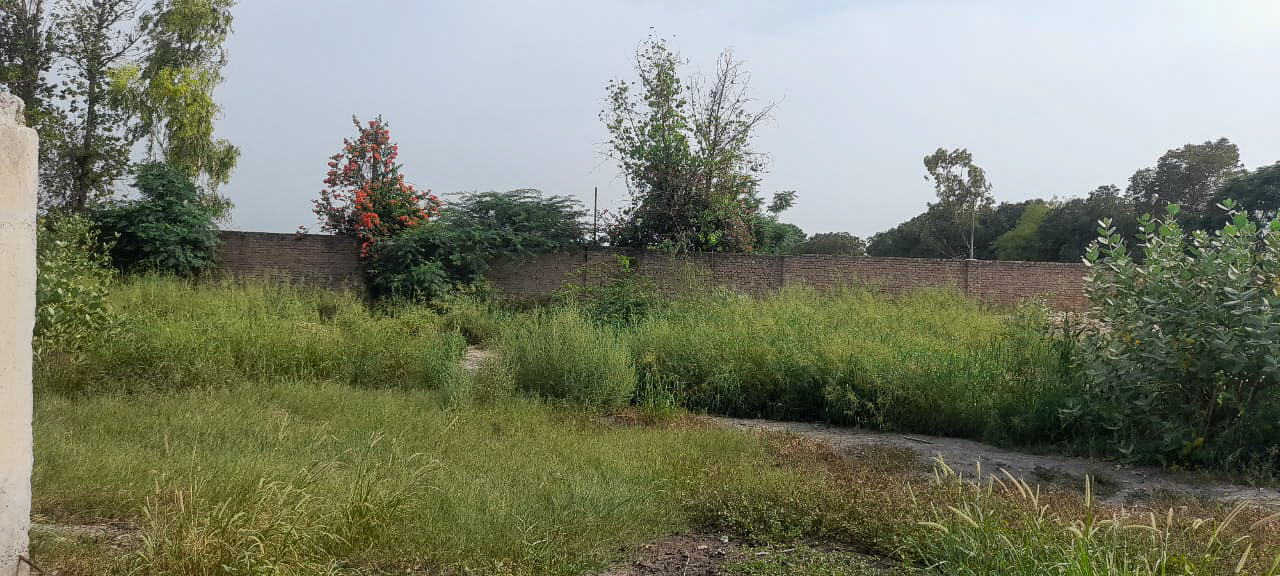 Industrial Shed for sale in Abohar — photo 39