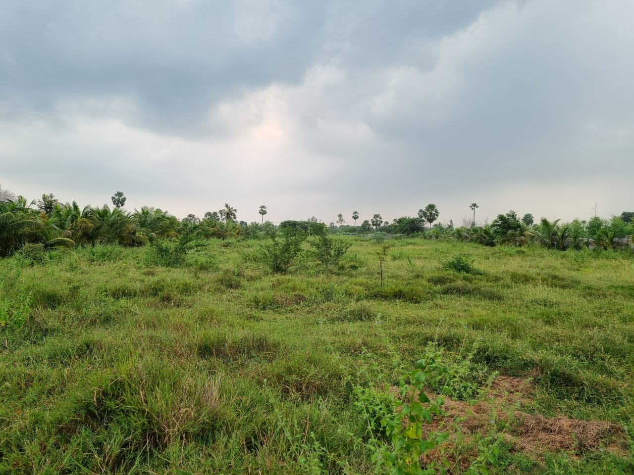 Plot for sale in Yadagirigutta — photo 1