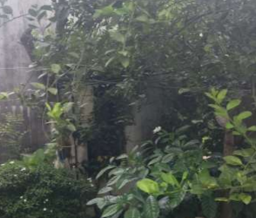 313 square feet Individual House for sale in BIZPUR Kanchrapara — photo 3