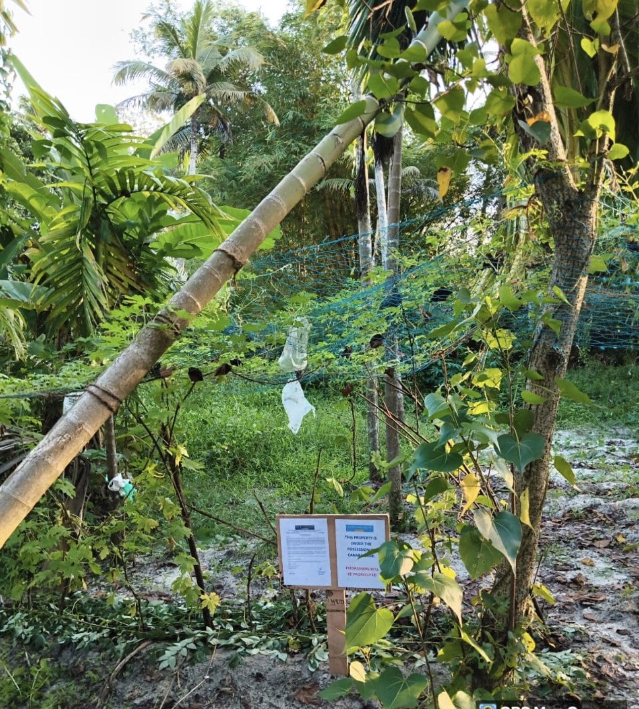 1012 square meter Plot for sale in VAYALAR Pallippuram Alappuzha — photo 1