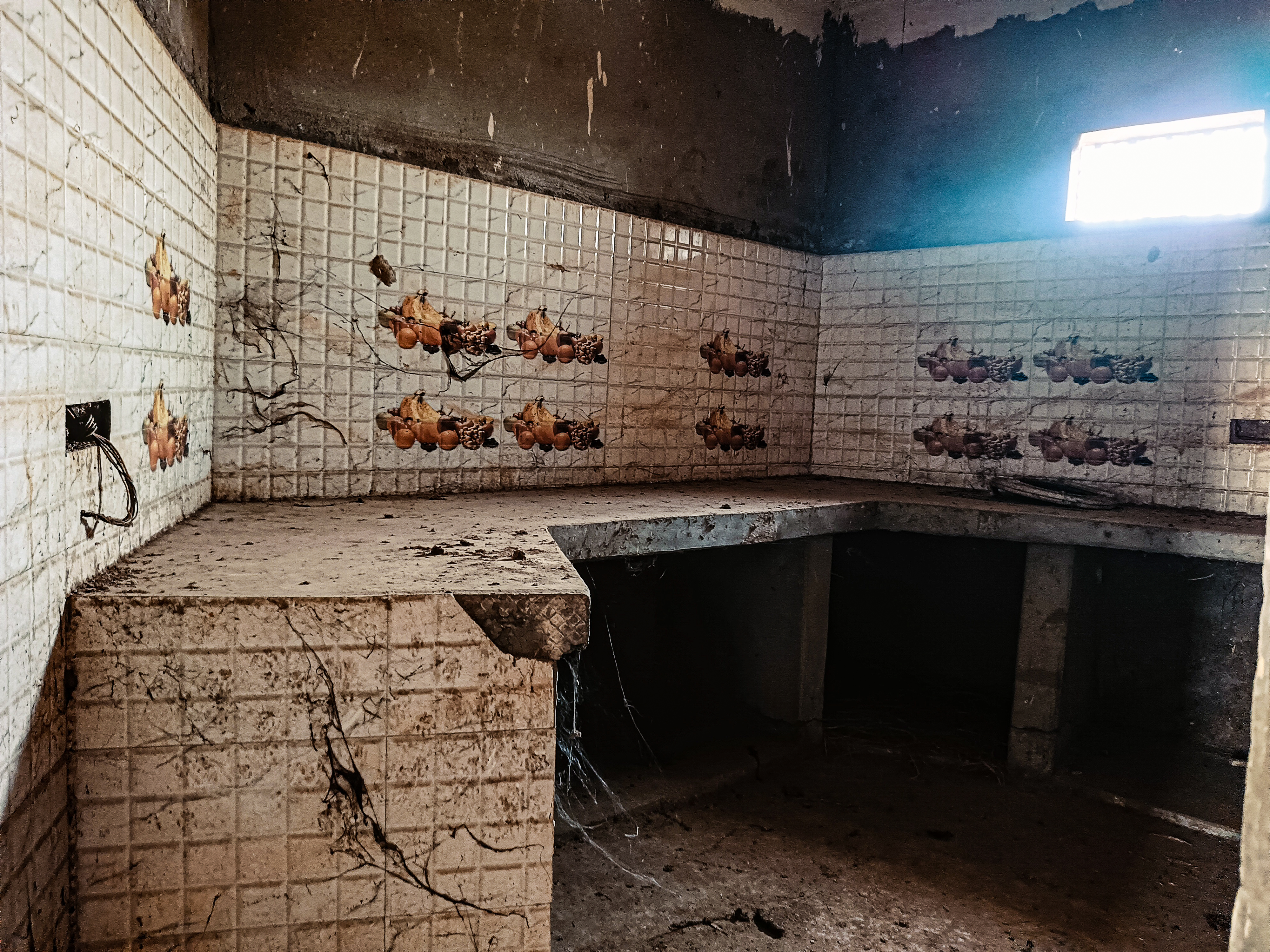 Shed with Plant and Machinery for sale in 27°39'37.36"N 78° 4'27.11"E Garhi Tamana — photo 4