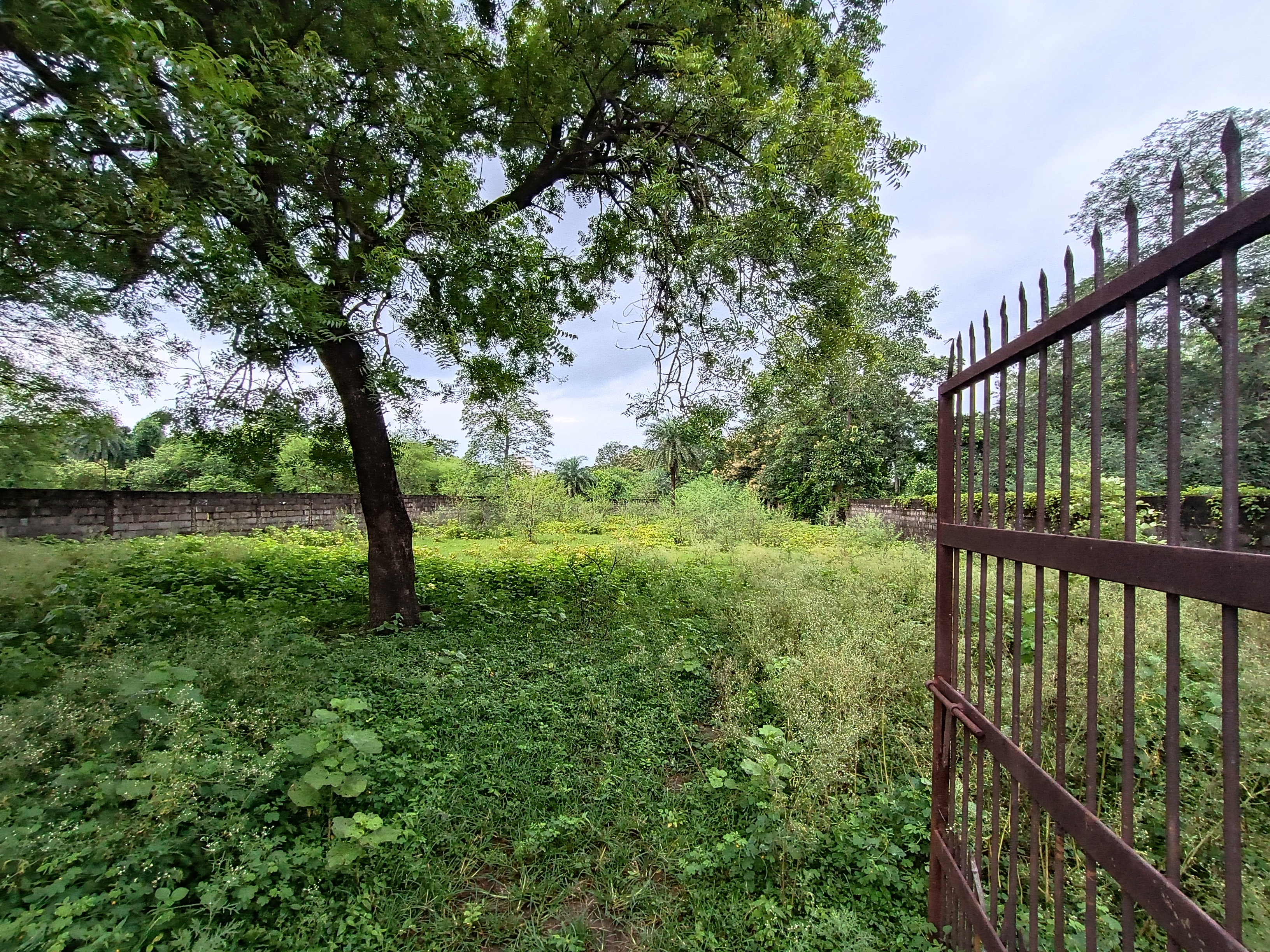Plot for sale in Raipur — photo 3