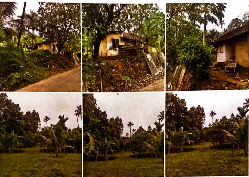 Agriculture Land for sale in Thodupuzha — photo 1