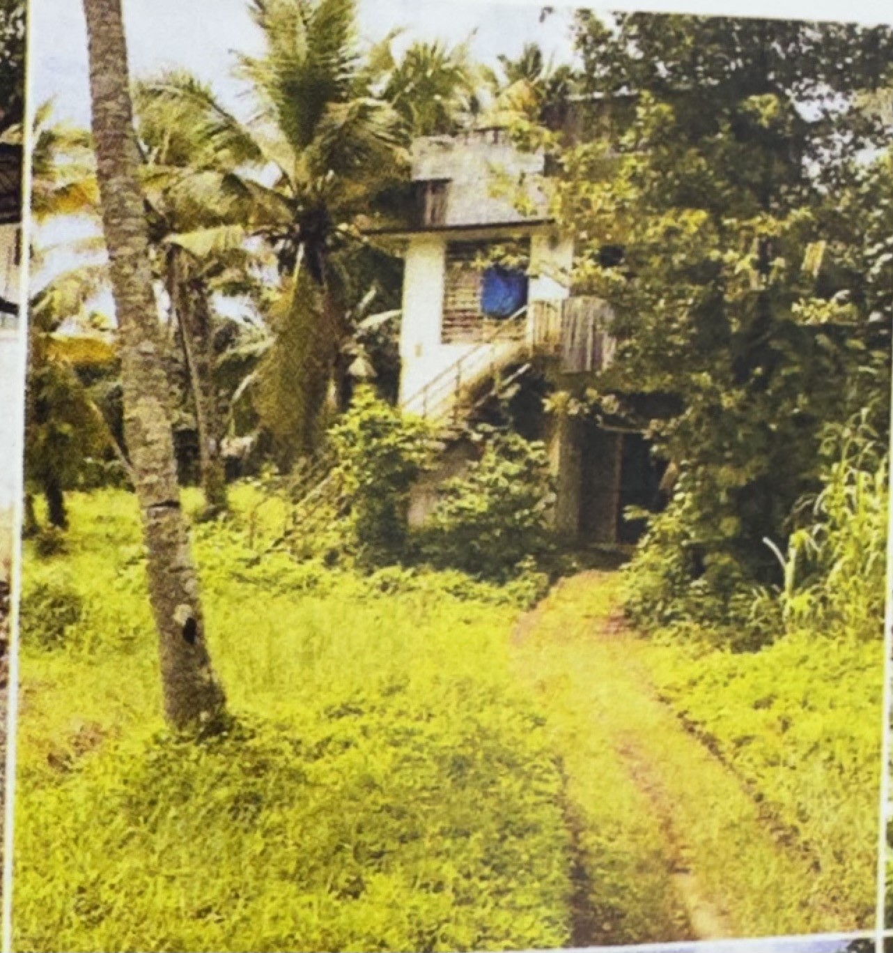110.12 square meter Individual House for sale in Kureekkad — photo 1