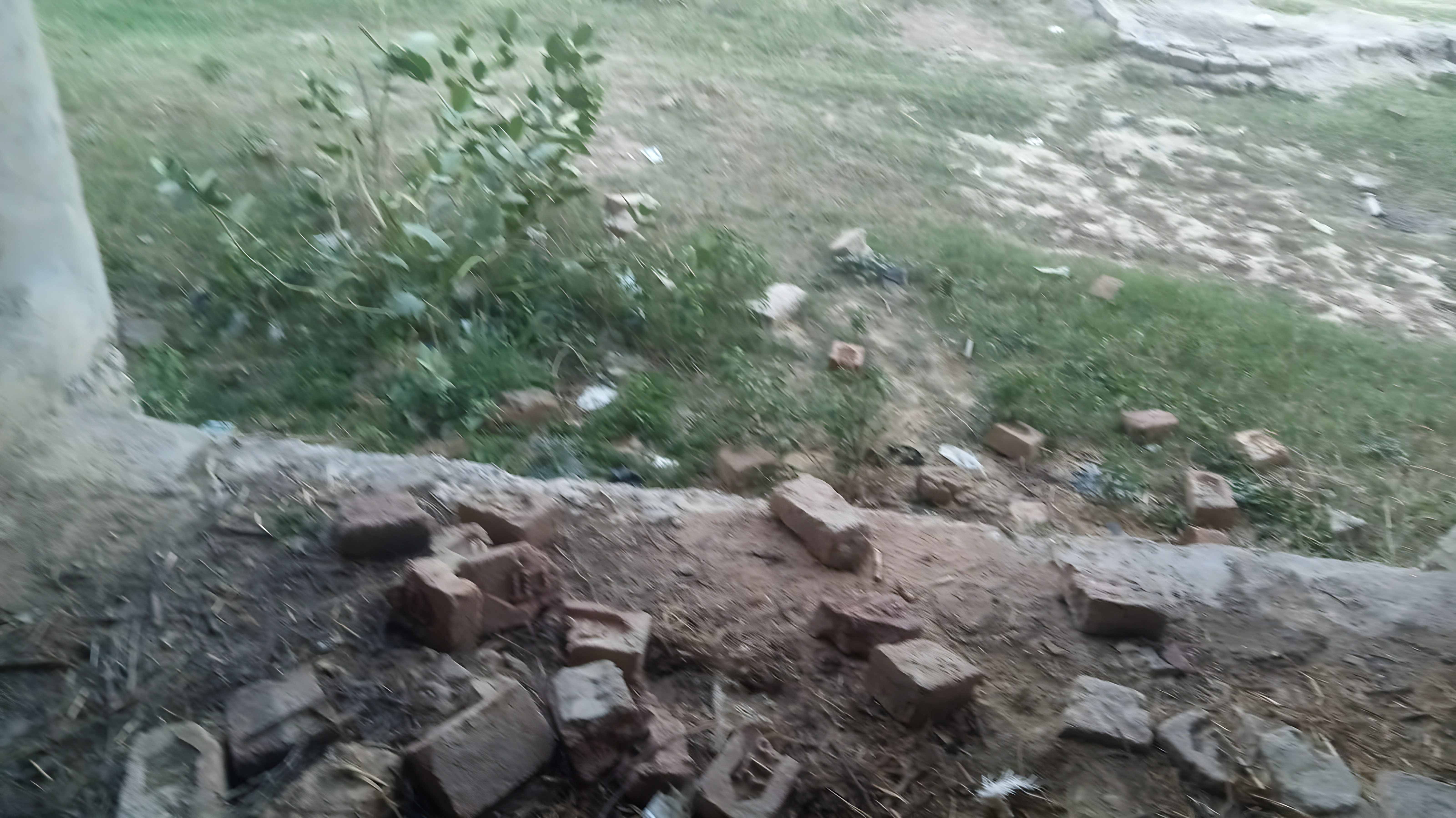 Godowns for sale in Jasrana — photo 5