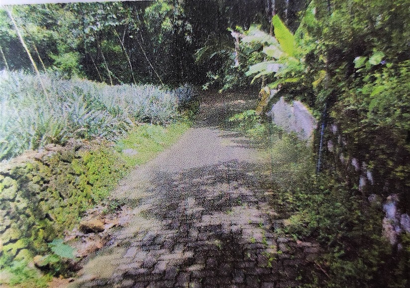 Individual House for sale in Ernakulam Puthencruz — photo 2