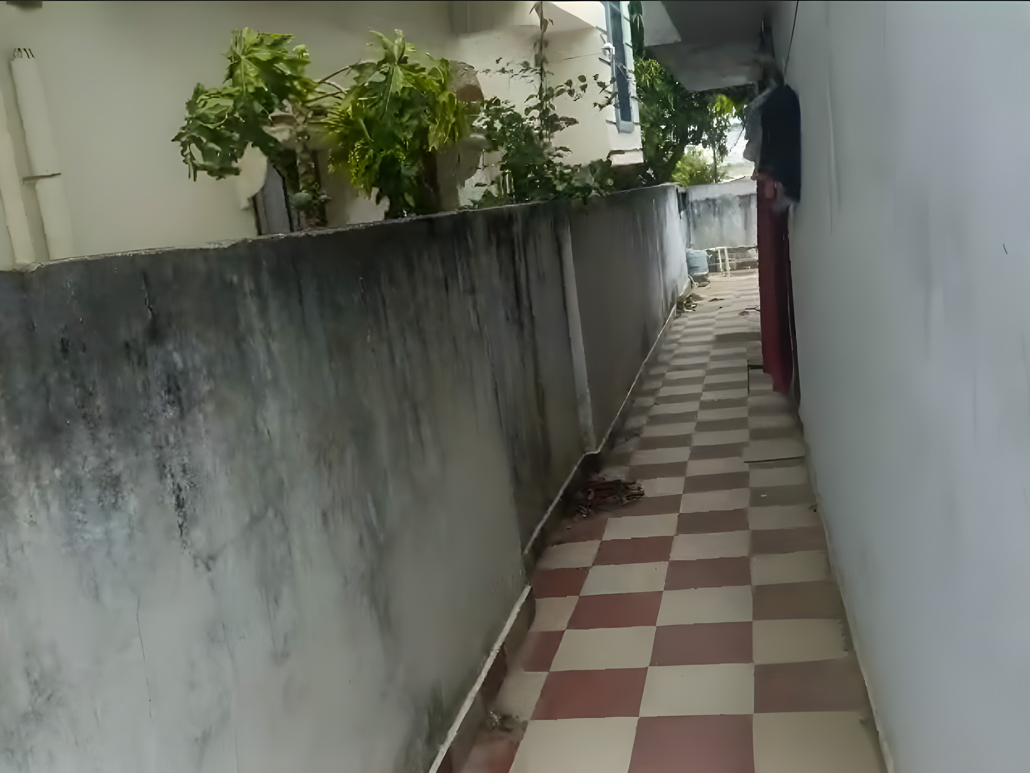 2 BHK Individual House for sale in Mr.Dama Vijaya Bhasker, Machavaram Kandukur — photo 2