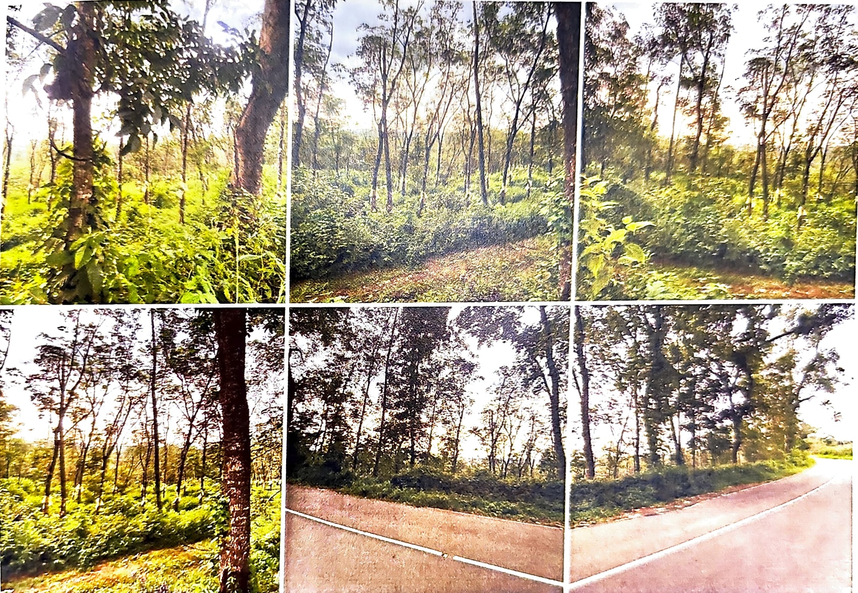 LAND ONLY for sale in Kanjirappally — photo 1