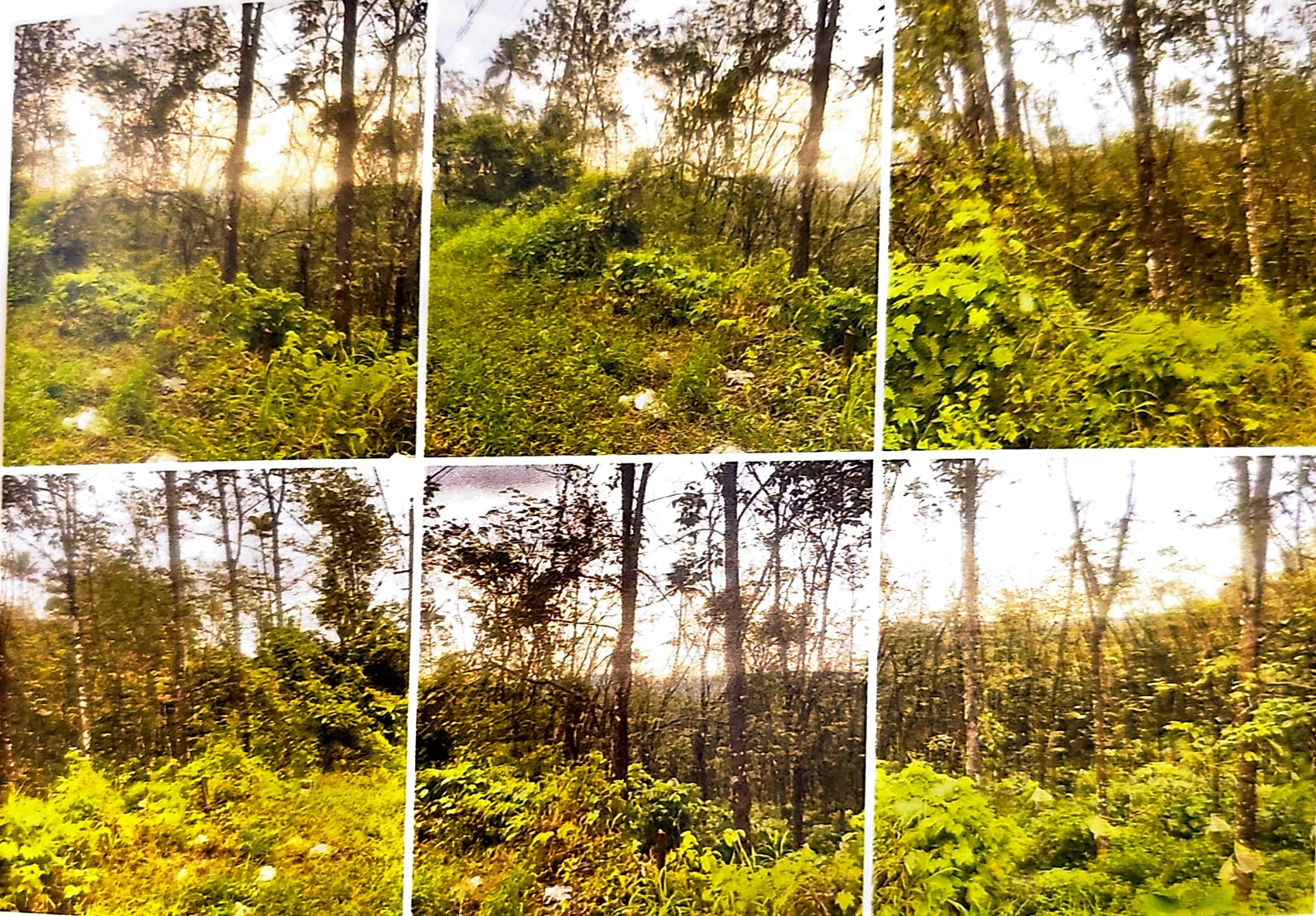 LAND ONLY for sale in Kanjirappally — photo 1