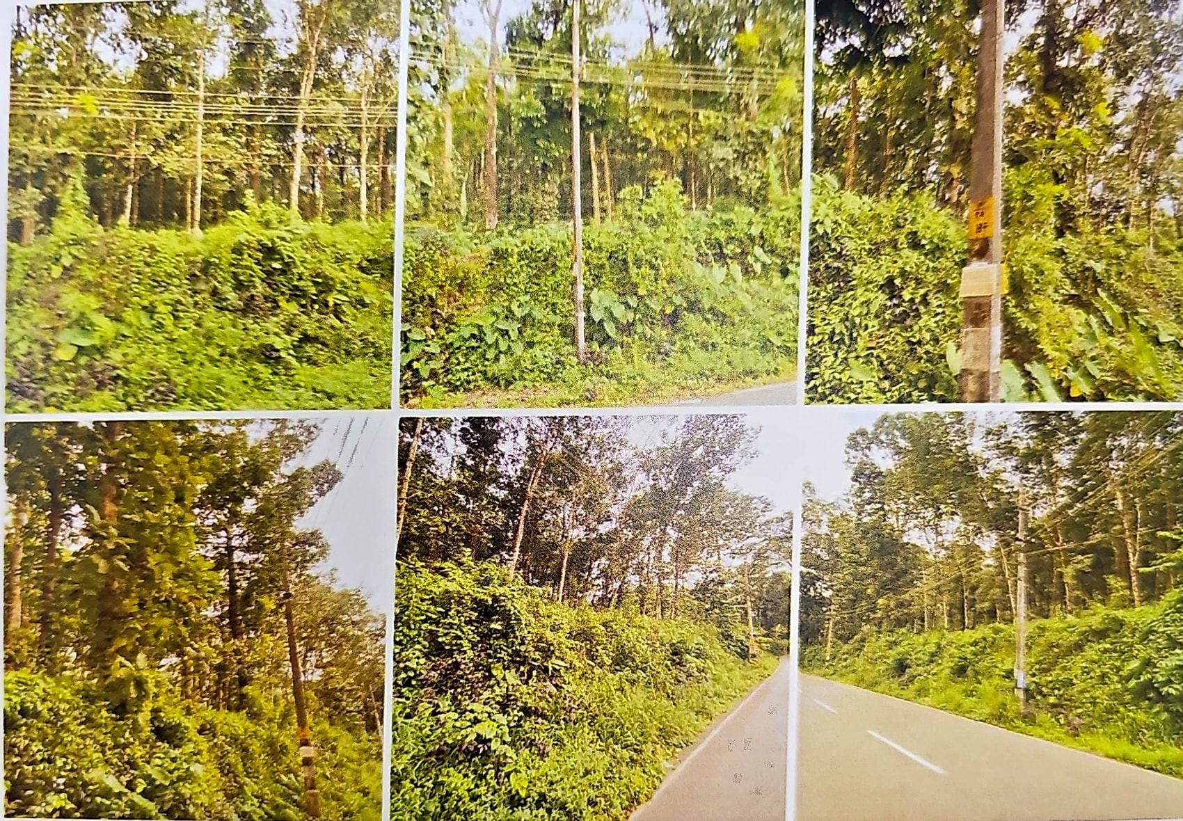 LAND ONLY for sale in Kanjirappally — photo 1