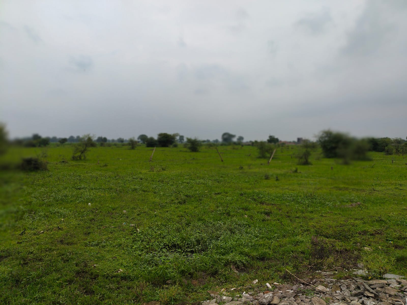 17859 square feet Plot for sale in GUJRATI COLONY Bhakhara — photo 2