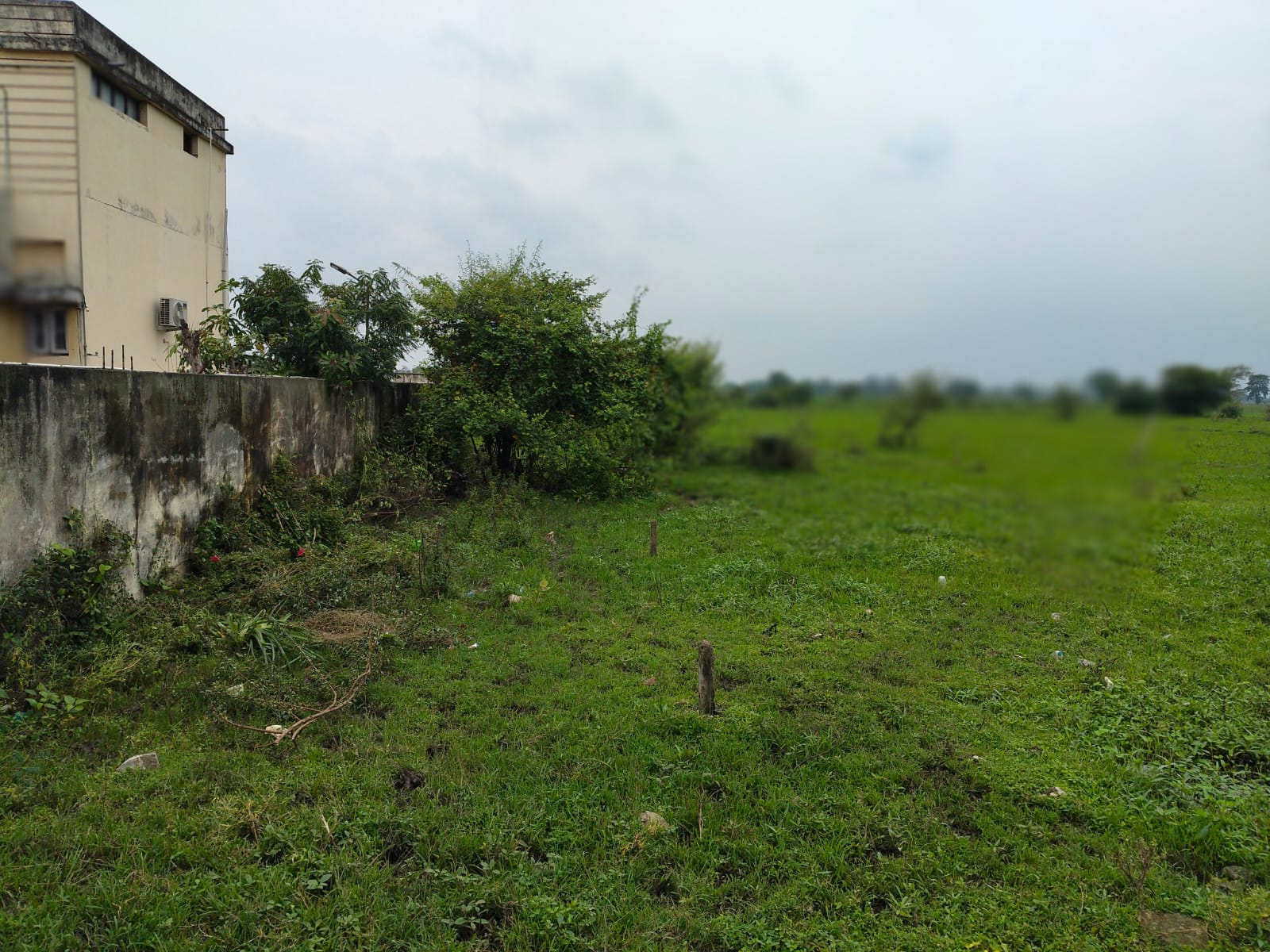 17859 square feet Plot for sale in GUJRATI COLONY Bhakhara — photo 3