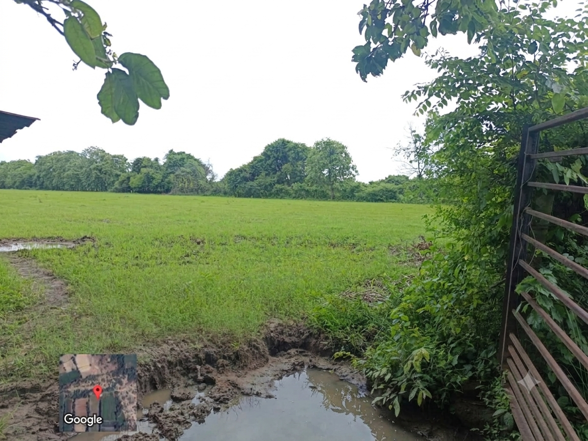 16565 square meter Agriculture Land for sale in Vaghodia — photo 1