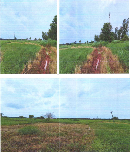 Vacant Plot for sale in Eluru — photo 1