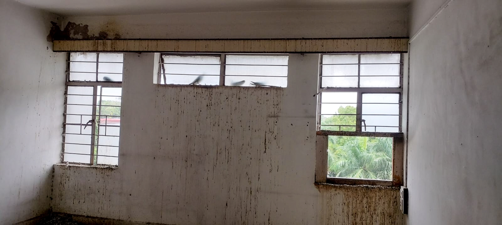 Office for sale in Pune — photo 8