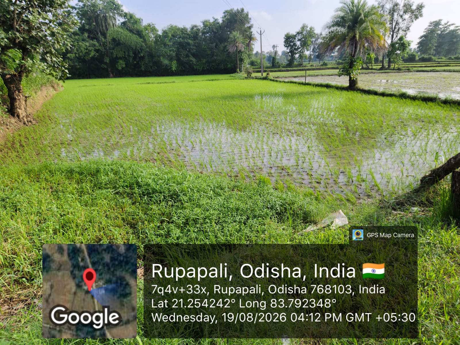 Plot for sale in RUPAPALI BHEDEN BARGARH Bargarh — photo 1