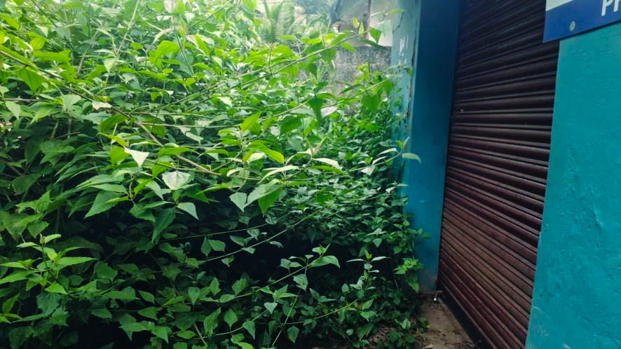 Individual House for sale in kattakada Kulathummal — photo 2