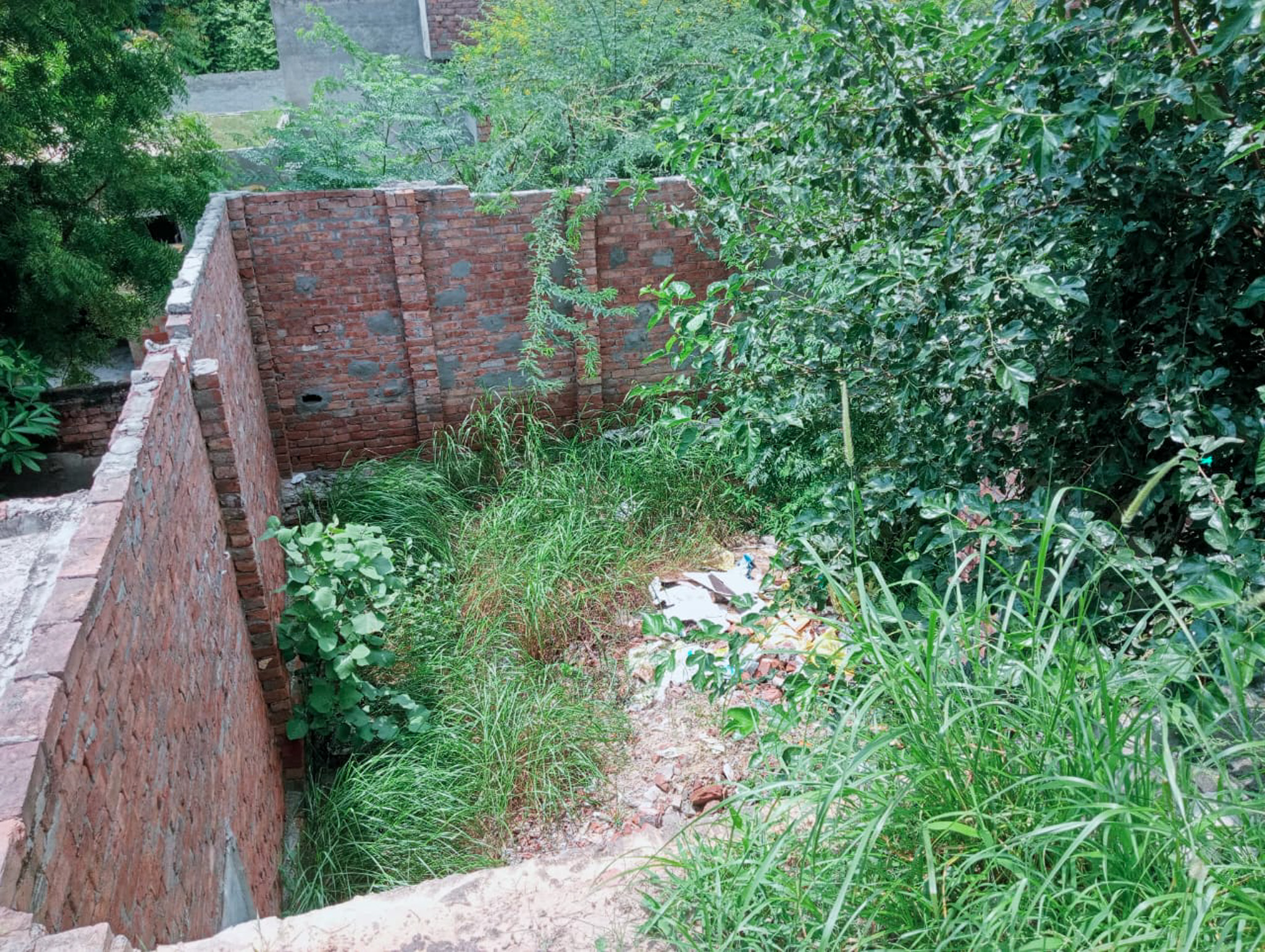 Individual House for sale in Faridkot Faridkot — photo 18
