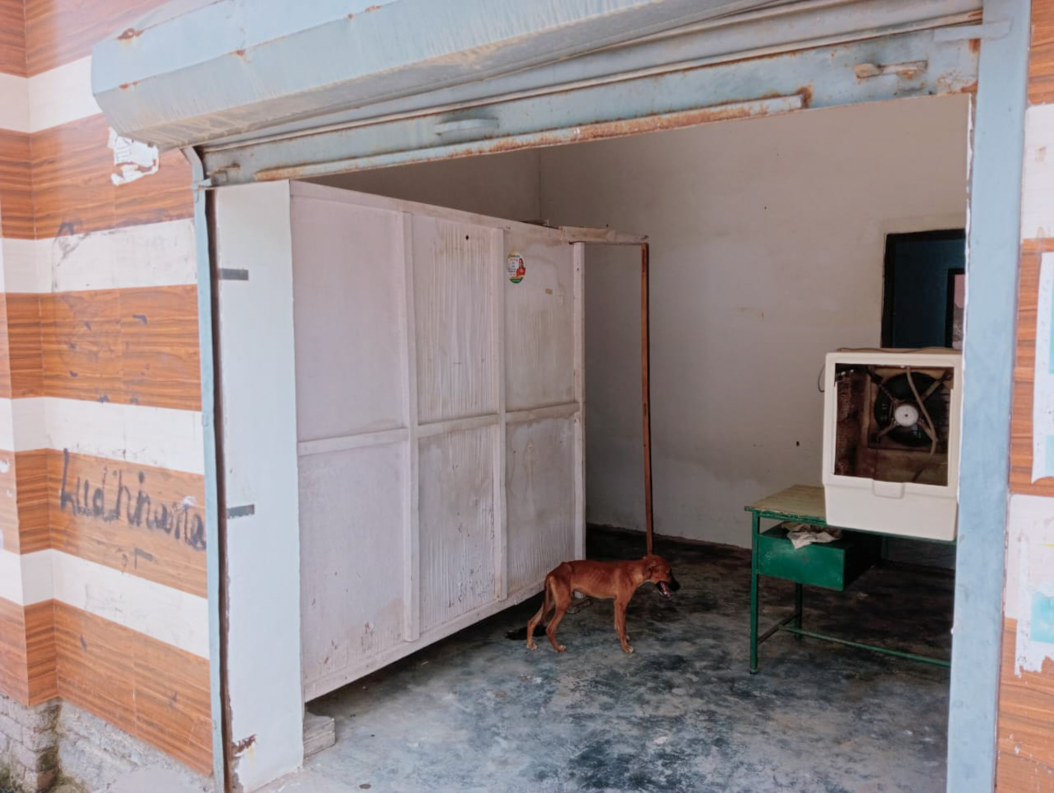 Individual House for sale in Faridkot Faridkot — photo 3