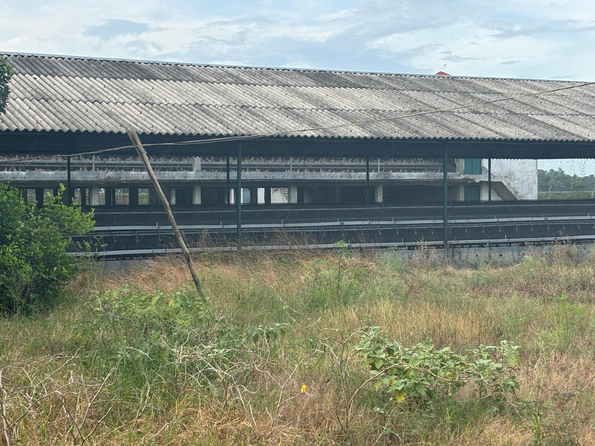 Office for sale in Kandi — photo 1