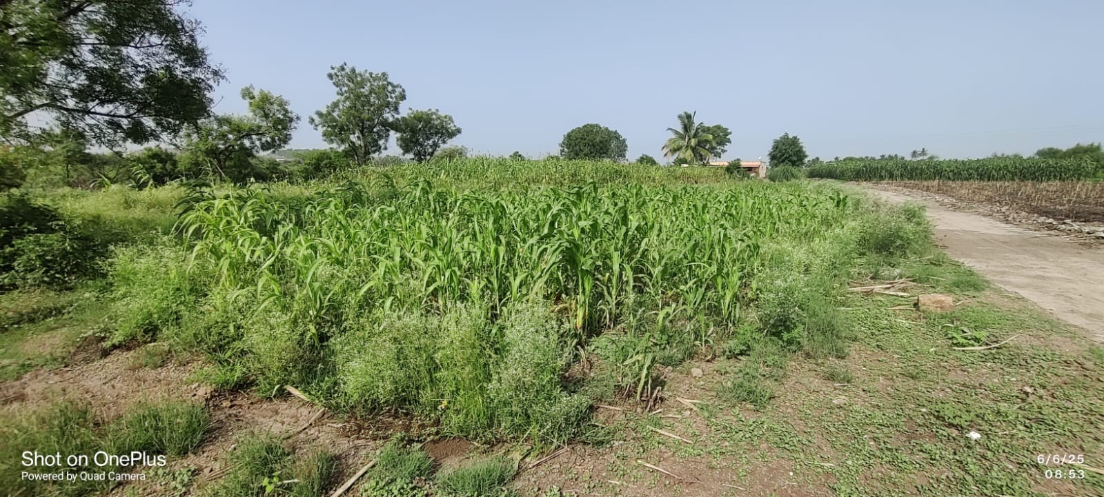 na land for transit godown for sale in Daund — photo 1