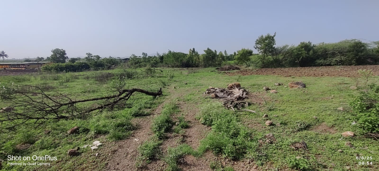 na land for transit godown for sale in Daund — photo 2