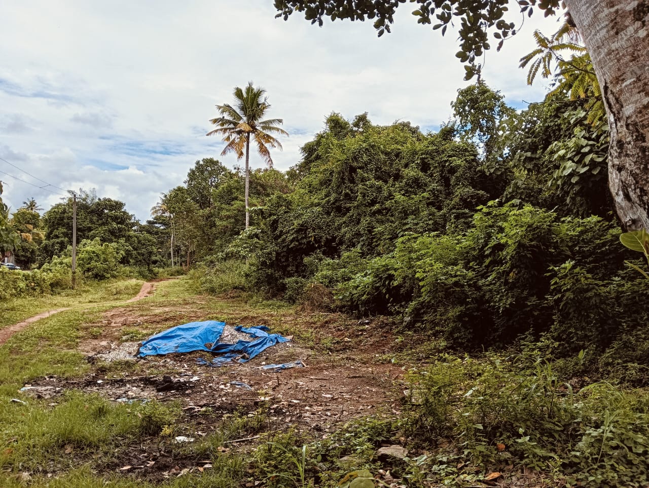 Plot for sale in Adichanalloor — photo 1