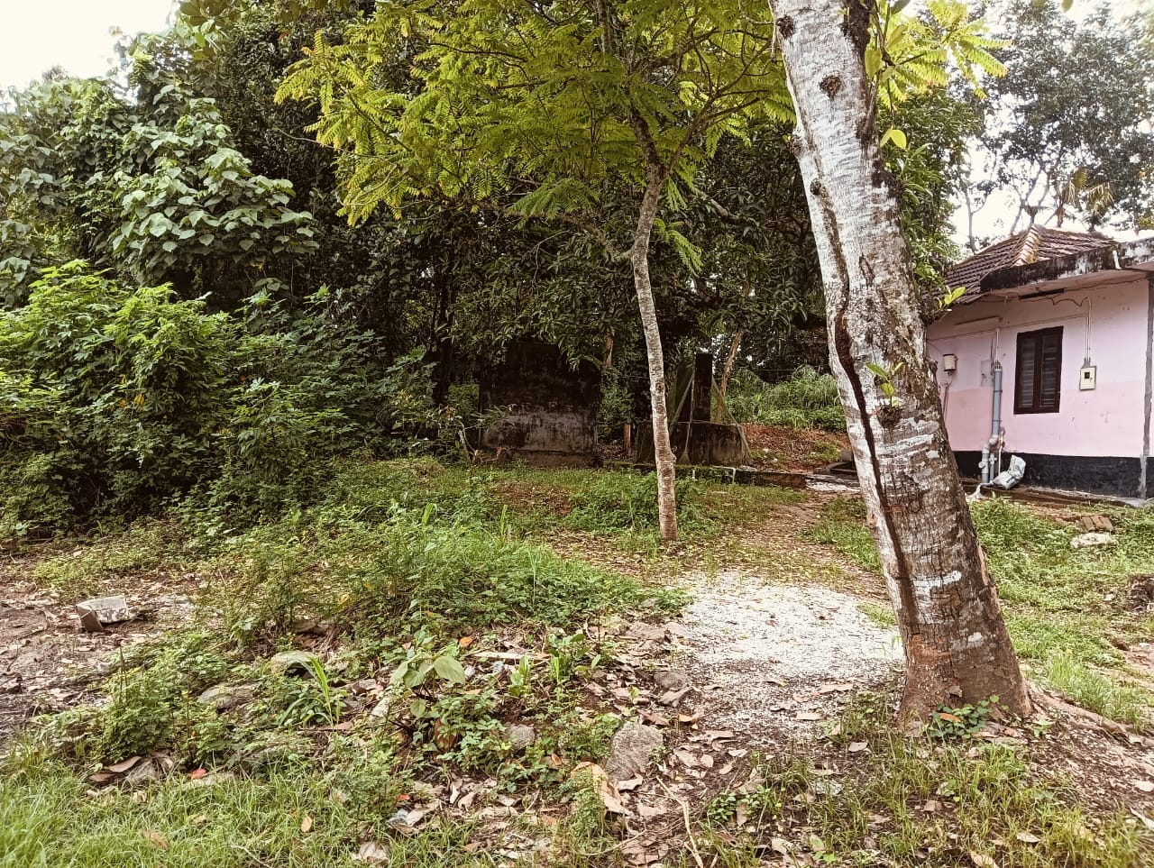Plot for sale in Adichanalloor — photo 2