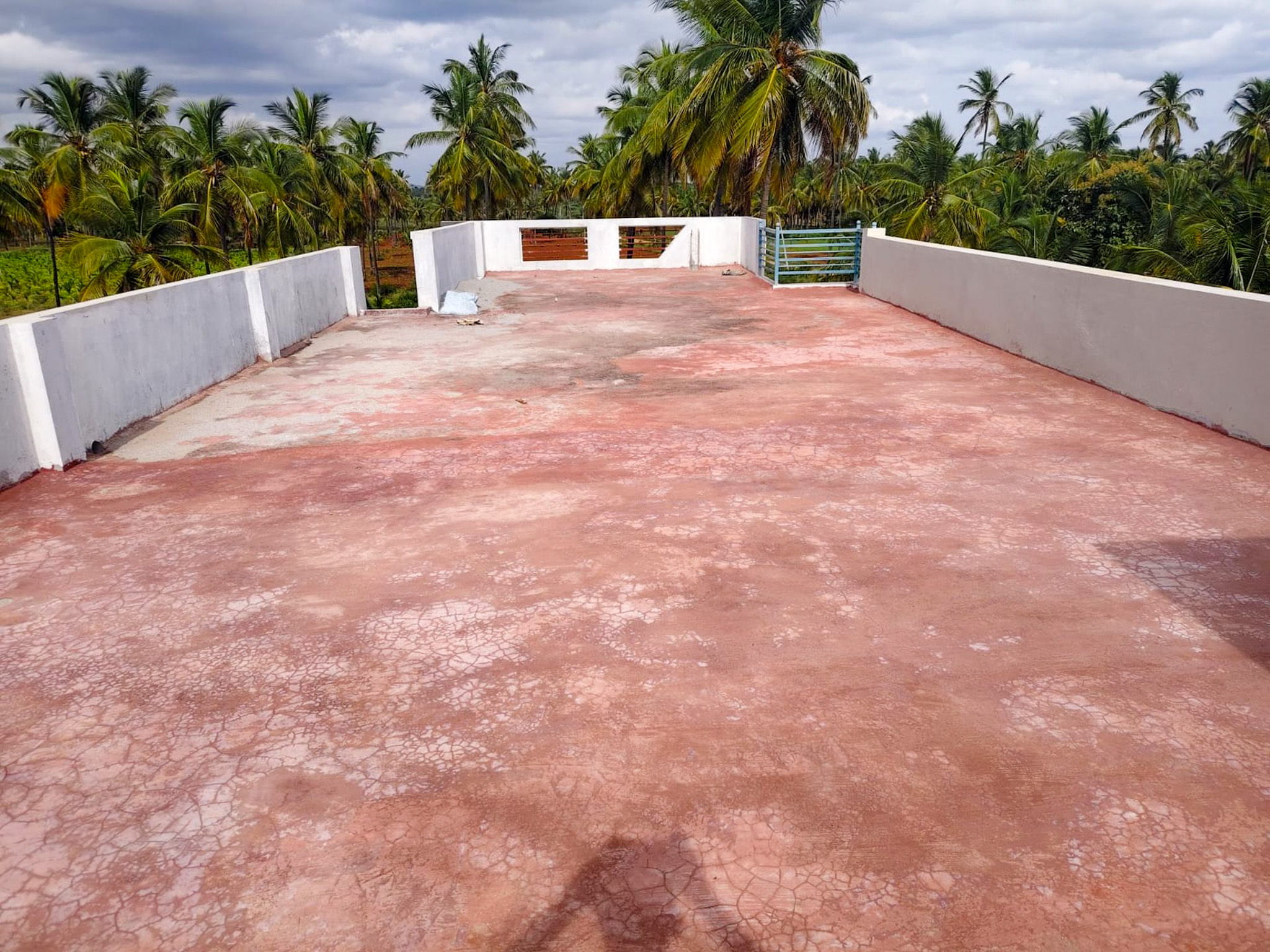 18920 square feet Individual House for sale in LAKKENAHALLI VILLAGE KADUR TALUK Kadur — photo 6