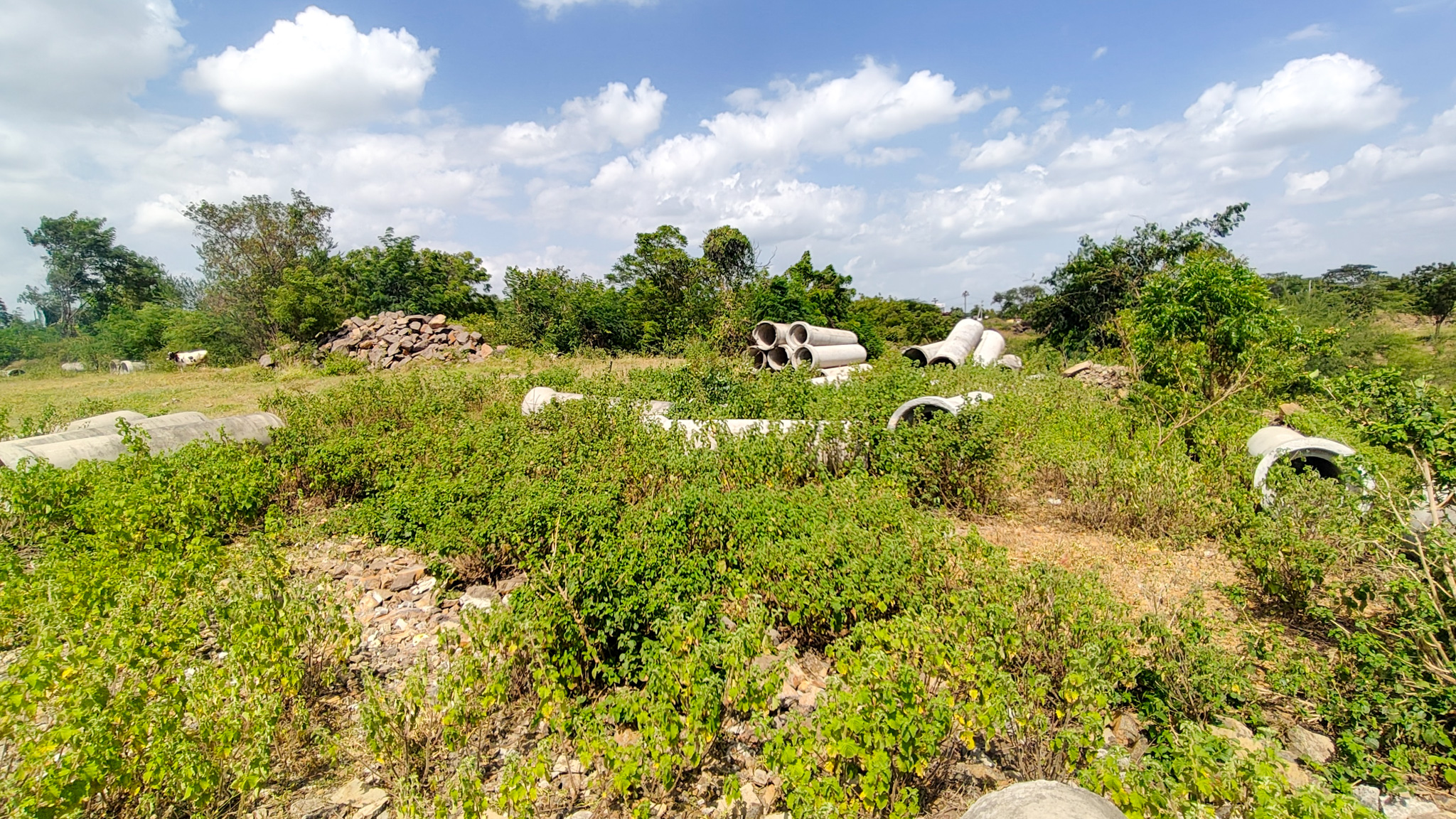 3000 square meter Industrail land with shed for sale in Paud — photo 5