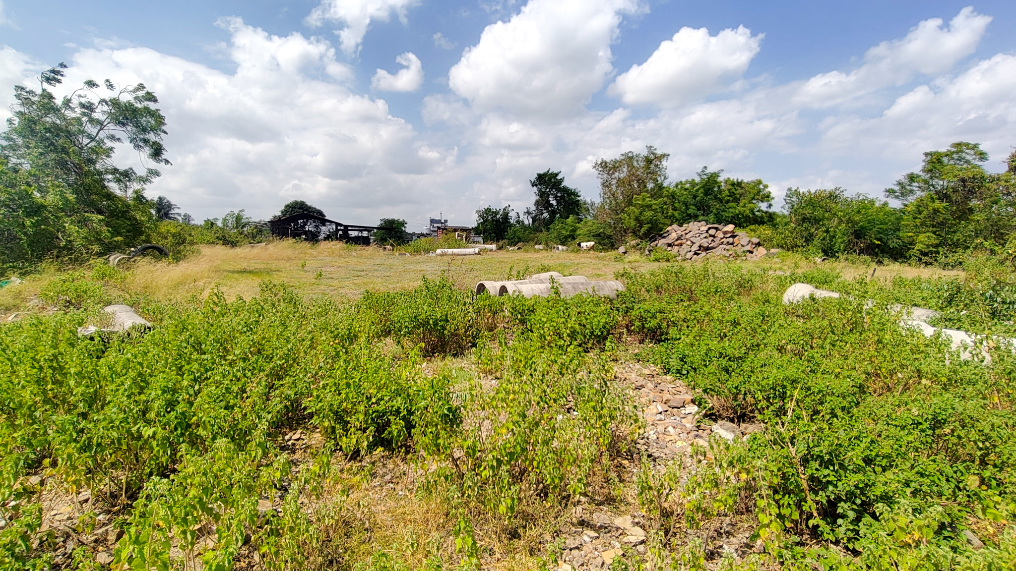 3000 square meter Industrail land with shed for sale in Paud — photo 6
