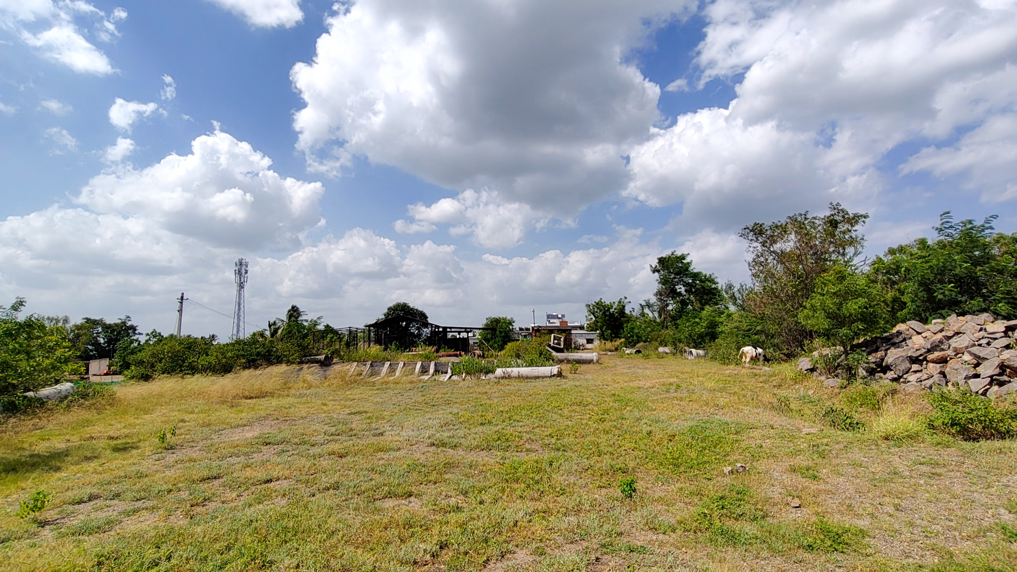 3000 square meter Industrail land with shed for sale in Paud — photo 9
