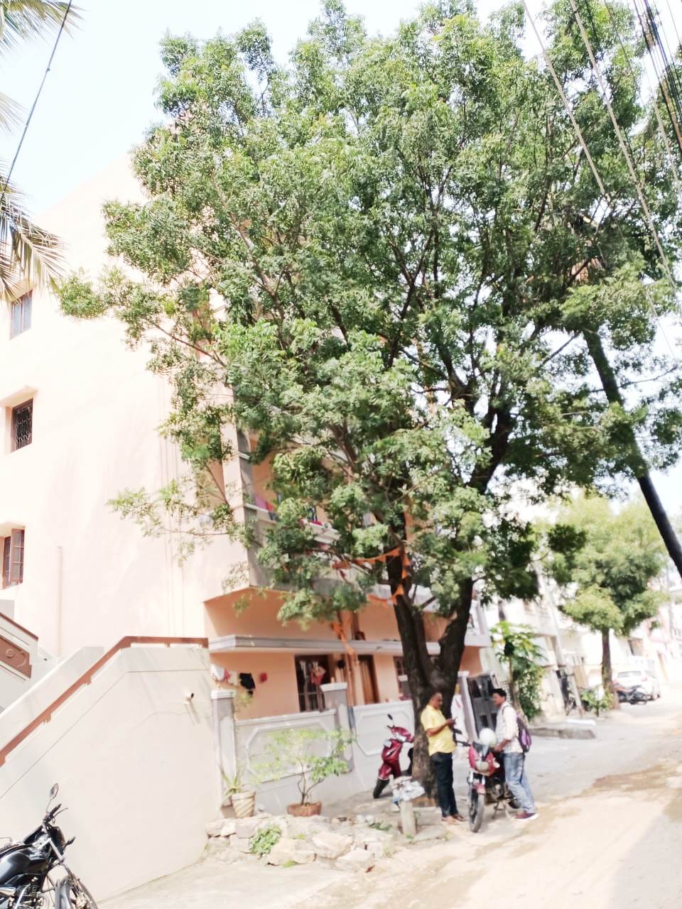 266.66 square yard Individual House for sale in MADHURANAGAR Hyderabad — photo 2
