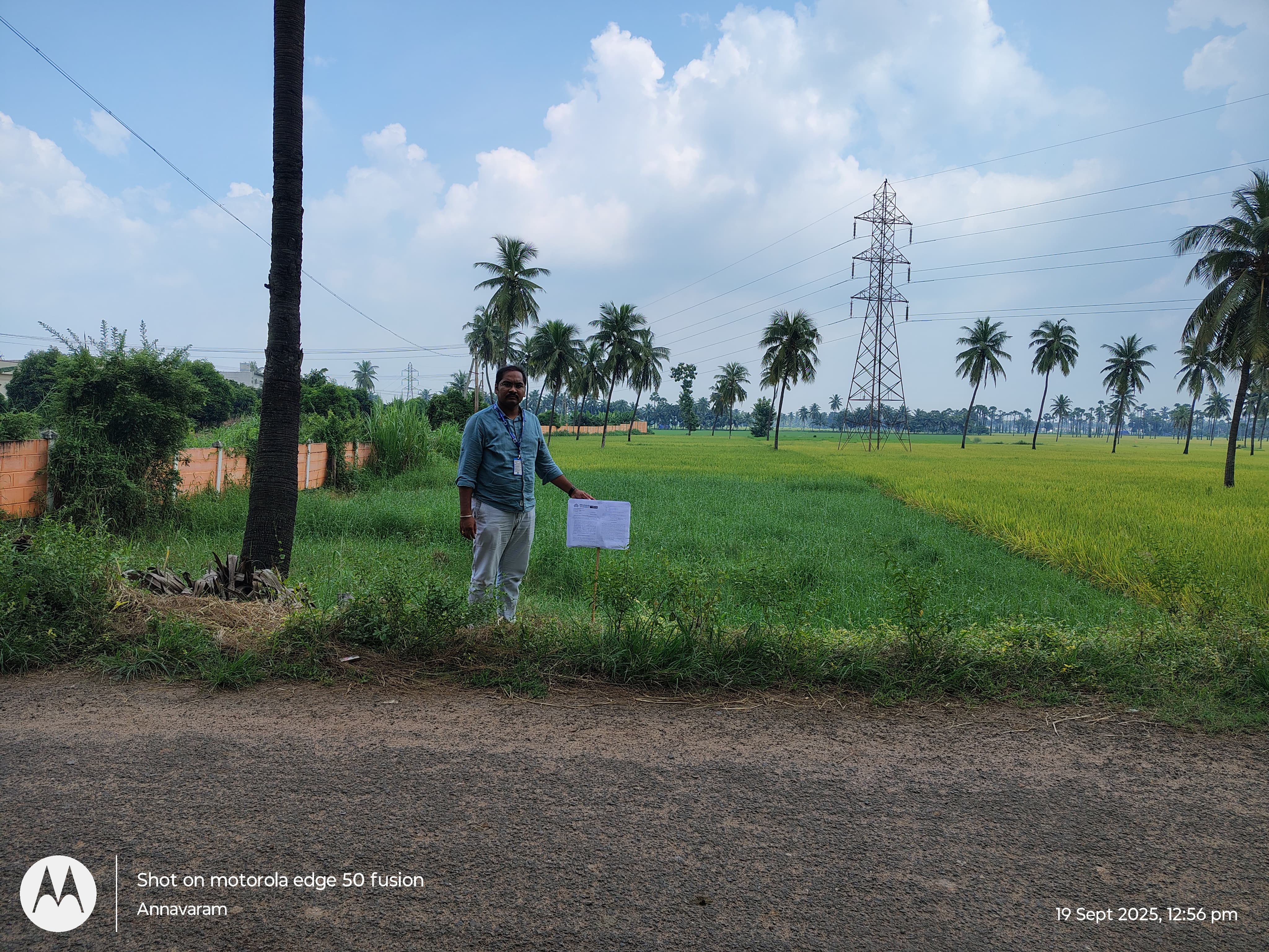 5324 square yard Plot for sale in Tadepalligudem — photo 1