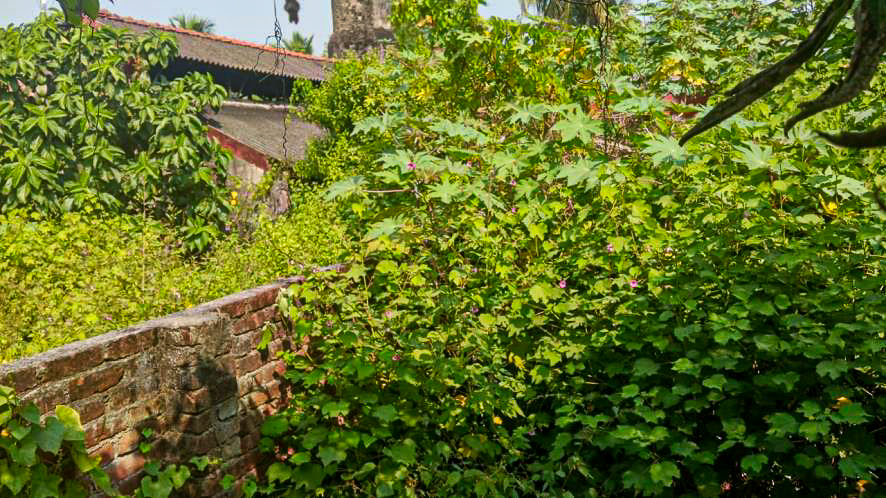 BASTU LAND WITH FACTORY STRUCTURE for sale in Contai — photo 9