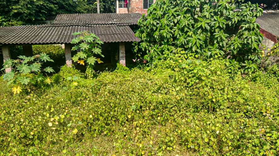 BASTU LAND WITH FACTORY STRUCTURE for sale in Contai — photo 4