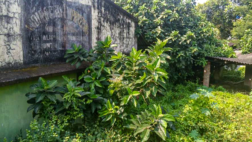 BASTU LAND WITH FACTORY STRUCTURE for sale in Contai — photo 5