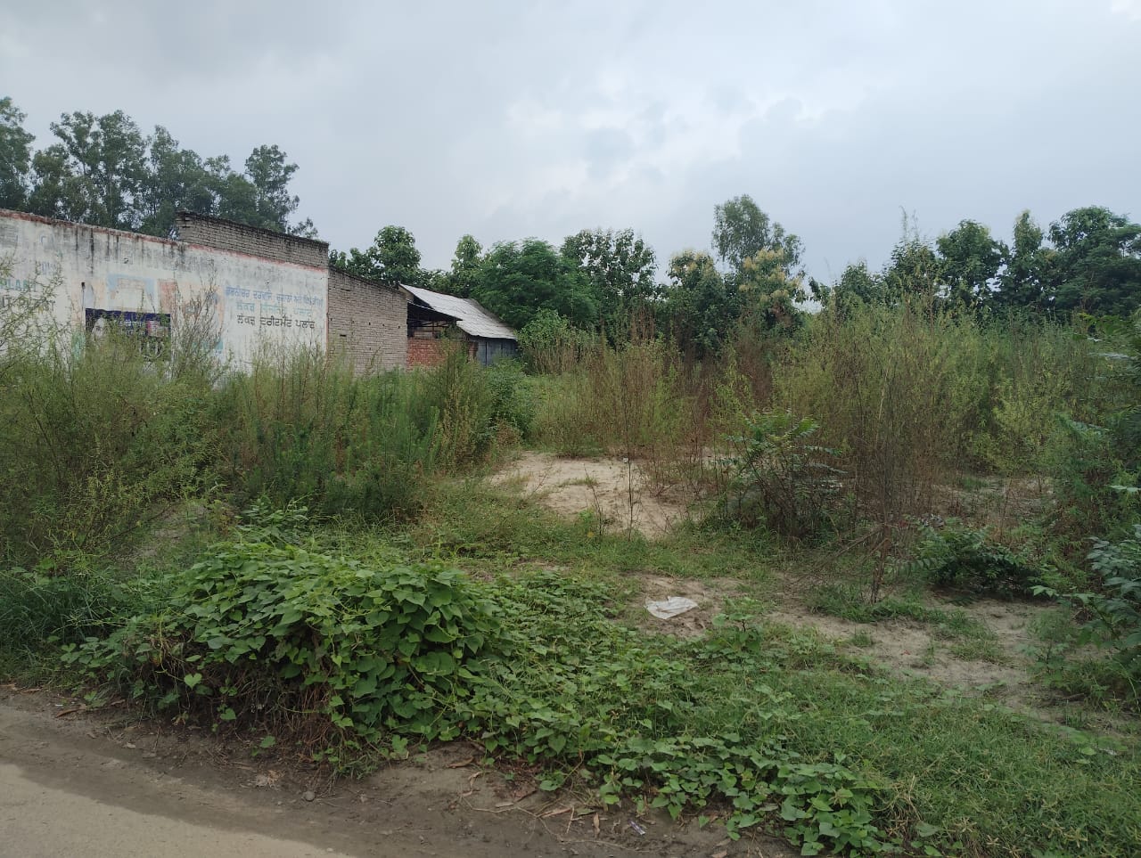 19312 square feet Shops for sale in Hoshiarpur — photo 8