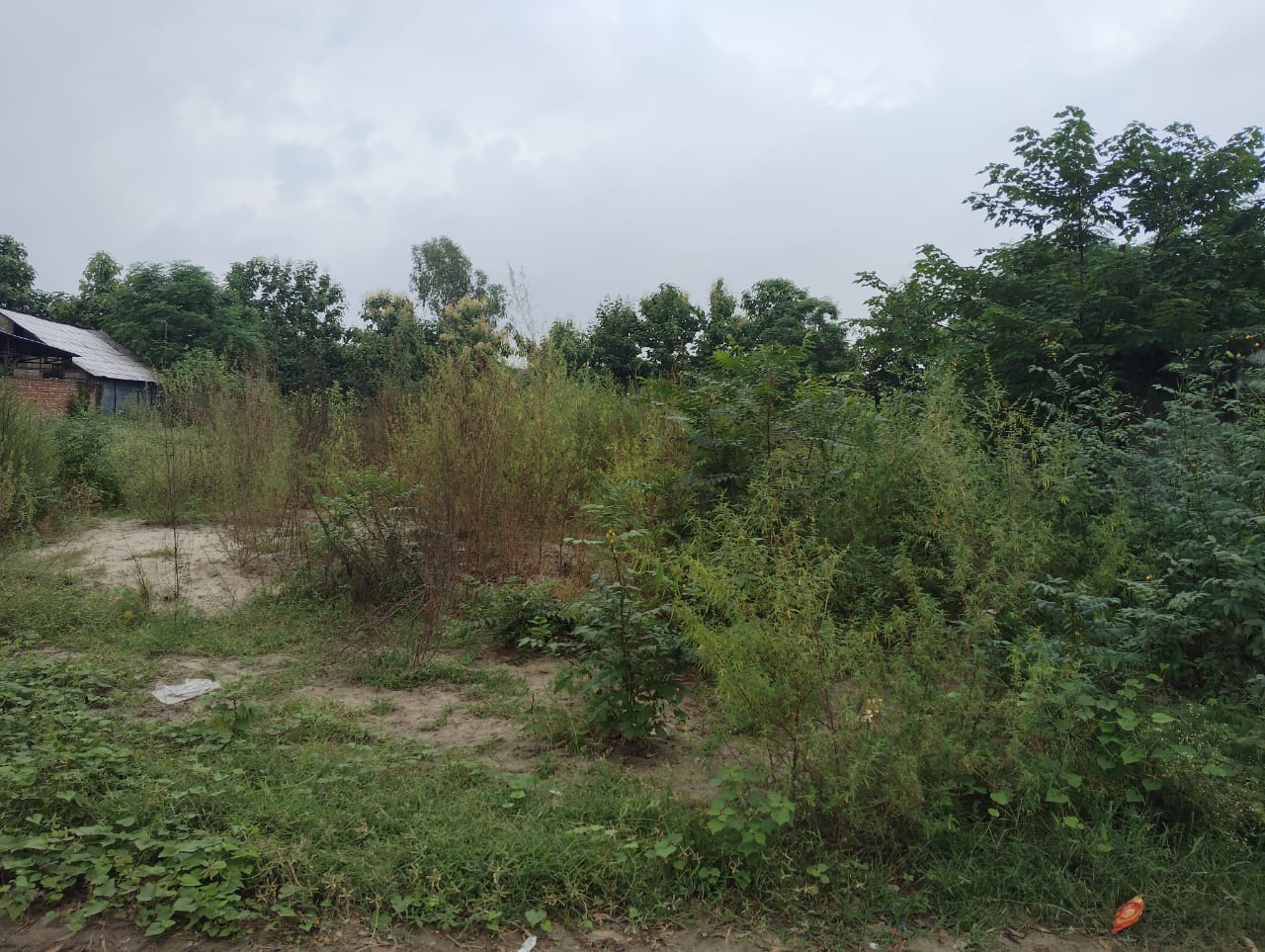 19312 square feet Shops for sale in Hoshiarpur — photo 9