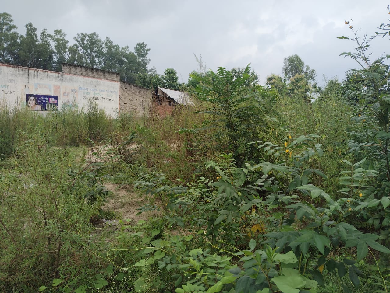 19312 square feet Shops for sale in Hoshiarpur — photo 10