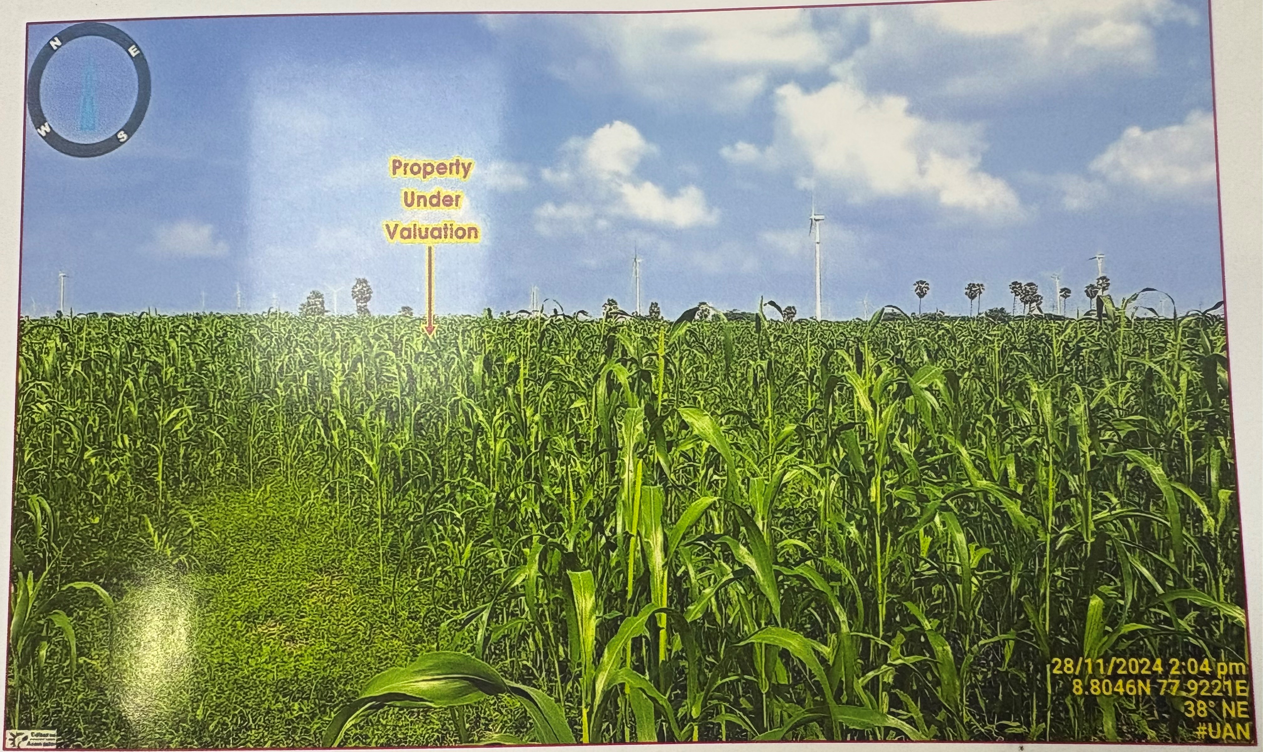 Plot for sale in Sekkarakudi Village Thoothukudi — photo 1