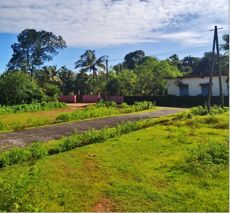 Plot for sale in kambadakone village baindoor — photo 3